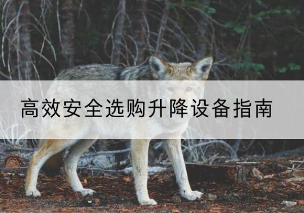曲沃升降货梯厂家推荐-*安全选购升降设备指南