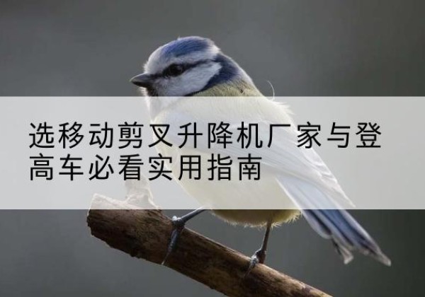 曲沃电动升降机厂家-选移动剪叉升降机厂家与登高车必看实用指南
